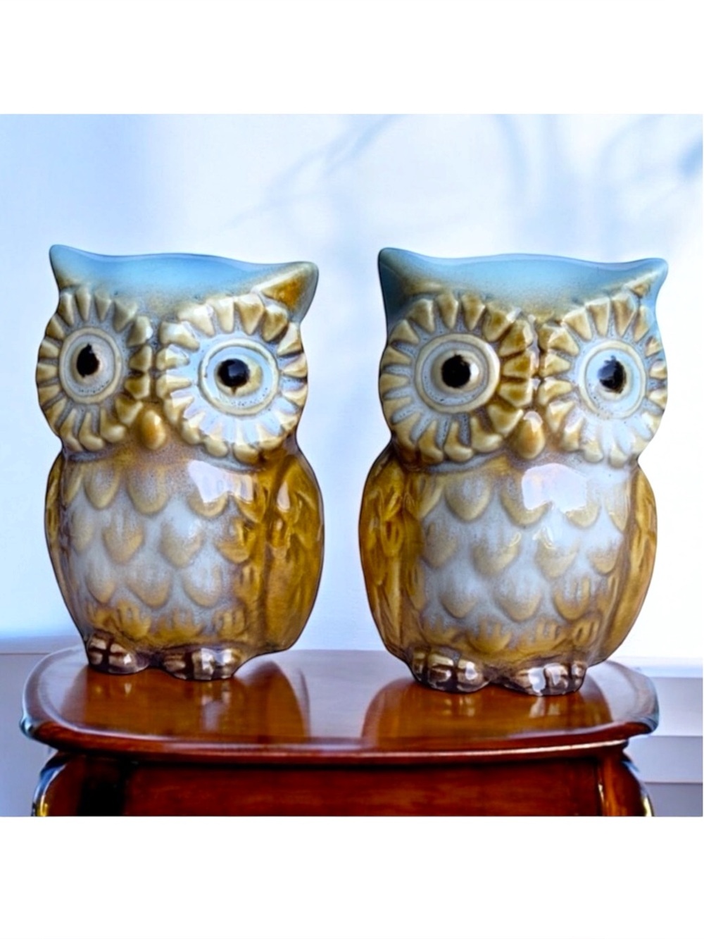 Owl Salt and Pepper Shaker Set Glazed Ceramic Hand Painted Owl Decor 2 Piece Set